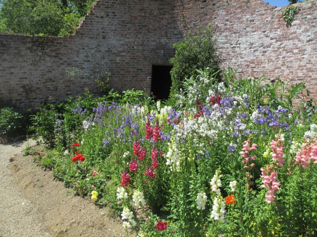 Flowers in the walled garden